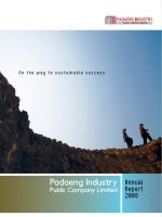 annual-report-2008